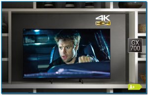 COMPRAR Televisores TV LED TX-65GX700 LED 4K de 2019 con tecnología Bright Panel HDR calidad 4K HDR HDR10+ y a la función Adaptive Backlight Dimming,